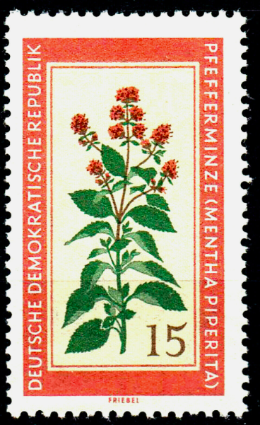 Peppermint stamp_DDR_roots revealed
