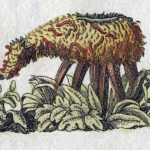 The vegetable lamb of tartary_the peculiar herbarium_roots revealed podcast