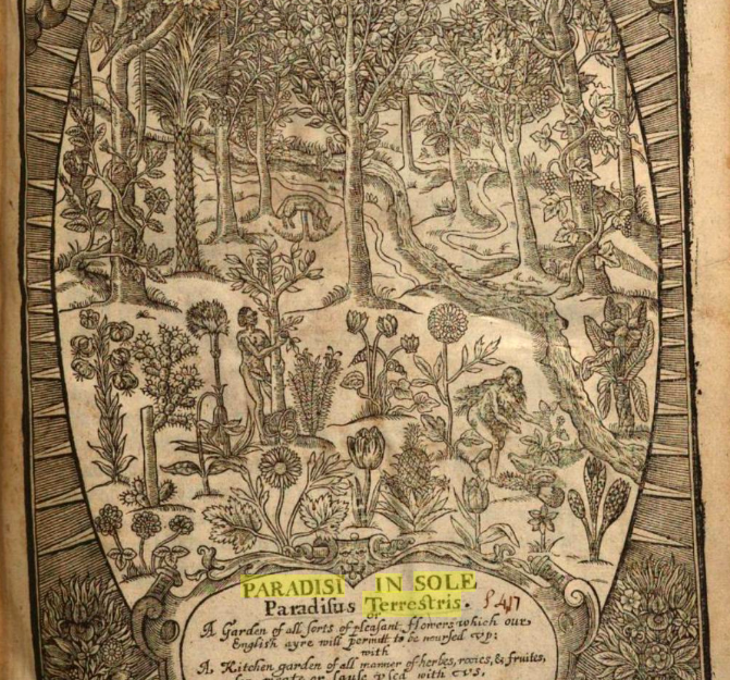 Title page of Paradisi in sole Paradisius Terrestris (1629)_the peculiar herbarium_roots revlead