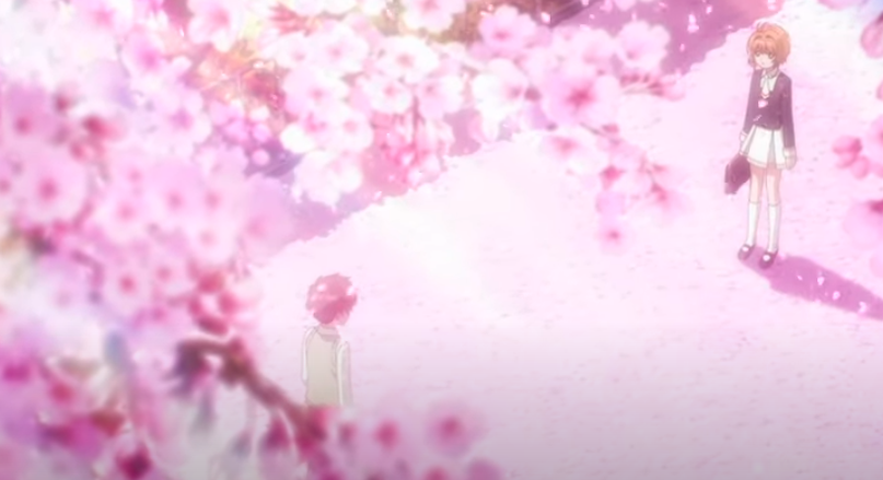 CARDCAPTOR sakura roots revealed cherry blossoms