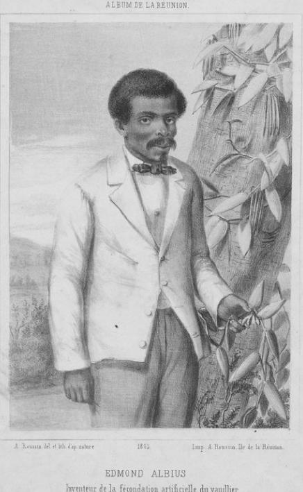Edmond Albius vanilla roots revealed podcast