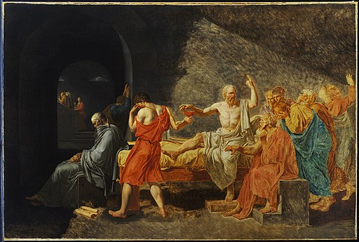 The death of socrates, hemlock poisoning roots revealed podcast plant poisons