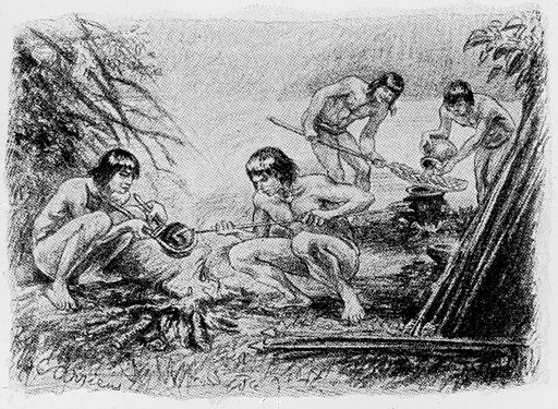South American Indians preparing an arrow poison of curare plant poisons roots revealed podcast