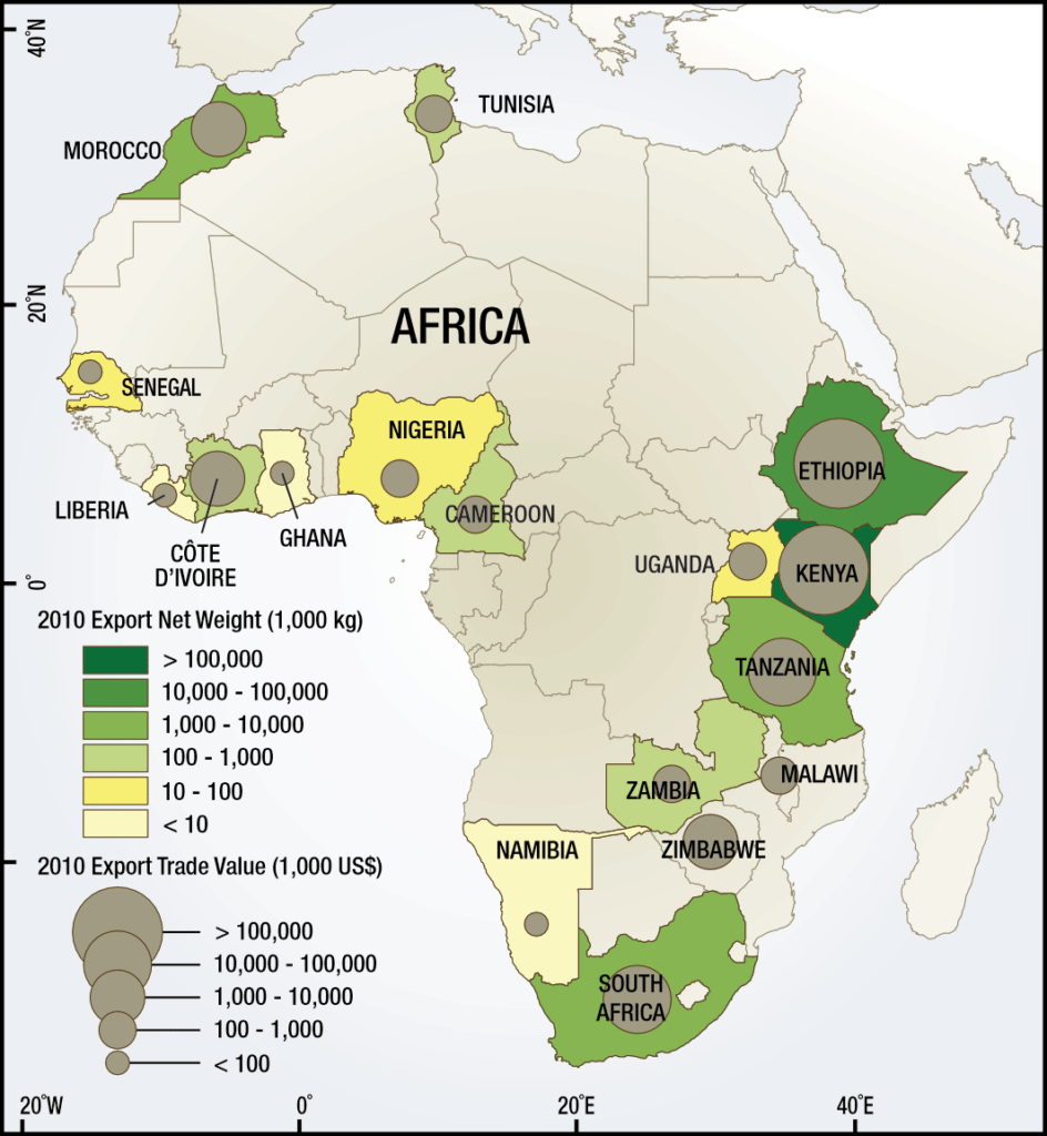 export trade values cut flower industry africa roots revealed