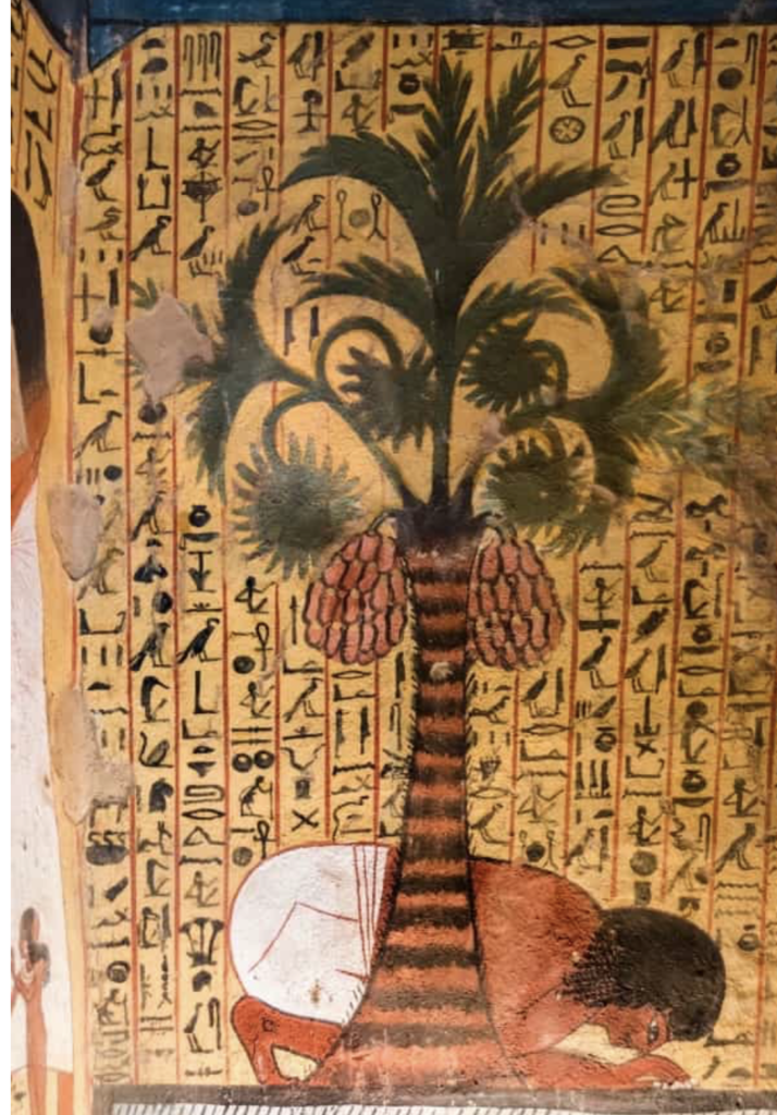 ancient egypt dates date roots revealed